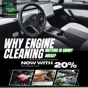 SparkWave Social Media Management - Car Ease Why Cleaning your engine matters